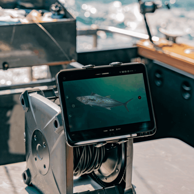 船上的平板电脑使用 Seavu 水下摄像系统实时显示鱼类的水下影像