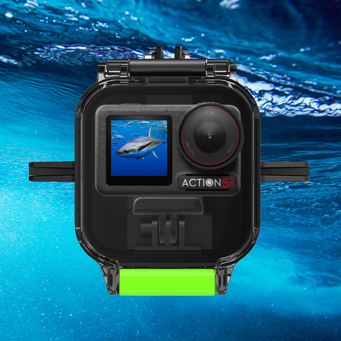 DJI Action 5 Pro 安装在 Seavu Explorer 外壳中，实时播放蓝鳍金枪鱼在附近游动的水下镜头。